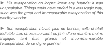 ► His exasperation no longer knew any bounds; it was unspeakable. Things could have ended in a less tragic way, such was the great and immeasurable exasperation of this worthy warrior. ► Son exaspération n'avait plus de bornes; celle-ci était indicible. Les choses auraient pu finir d'une manière moins tragique, tant était grande et incommensurable l'exaspération de ce digne guerrier 